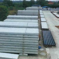 about srprecast